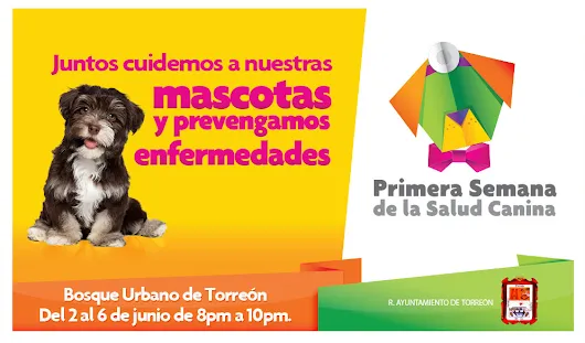 Para muchos de nosotros, nuestras mascotas son parte de la familia, por prime...