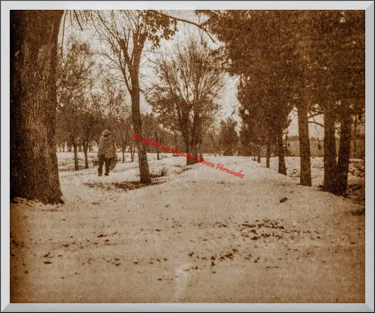 Ciudad Lerdo EL PARQUE VICTORIA CUBIERTO DE NIEVE EN 1947  Hace 70 años, en 1...