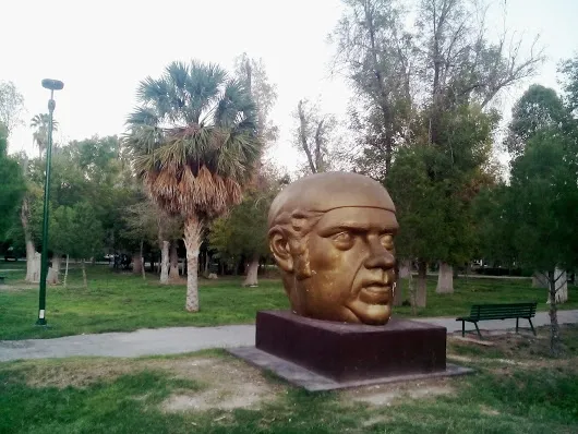 La cabeza de Morelos Miren lo que me encontré paseando por el Bosque Venustia...