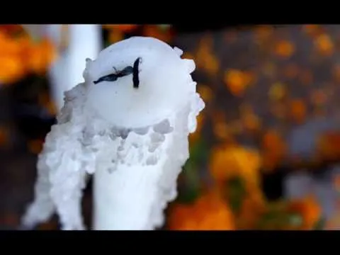 Día de Muertos en México y La Laguna Nuestra amiga +Olivia Reyes  nos habla e...