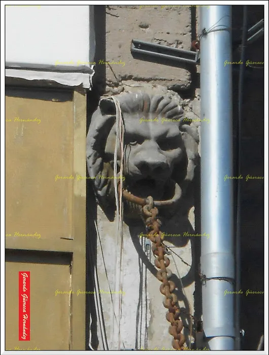 Casa (Vitrales) Montaña UNO DE LOS LEONES DEL EDIFICIO DE CASA MONTAÑA Como m...