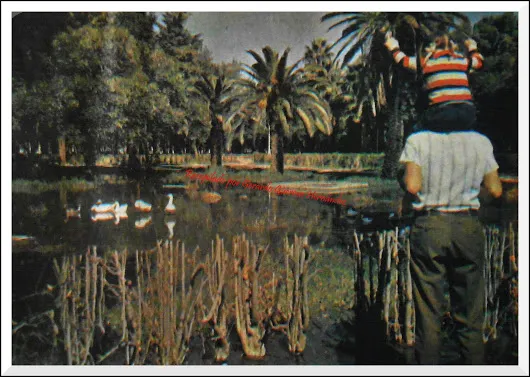 ADIVINEN  Nuevamente, vean la siguiente foto viejita:  Una niña sobre los hom...