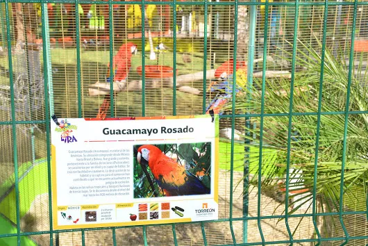 Aviario Lira  El sábado tuve la oportunidad de ir al Aviario Lira, esta bonit...