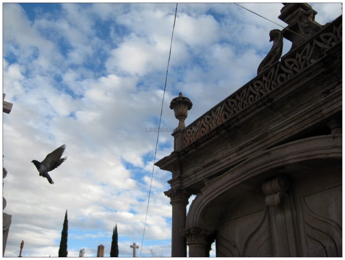 Panteón de Dolores - Jerez Zacatecas 015