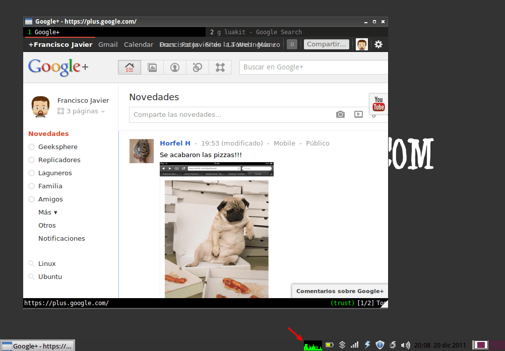 Luakit - Bajisimo impacto en el CPU