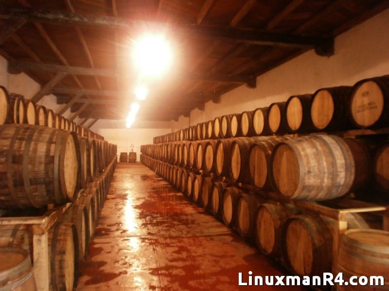 Featured image of post Parras de la Fuente, Coahuila.