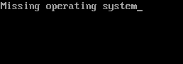 Missing Operating System