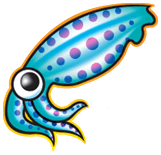 squid caché web proxy