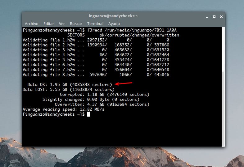 f3read resumen final \| memoria falsa
