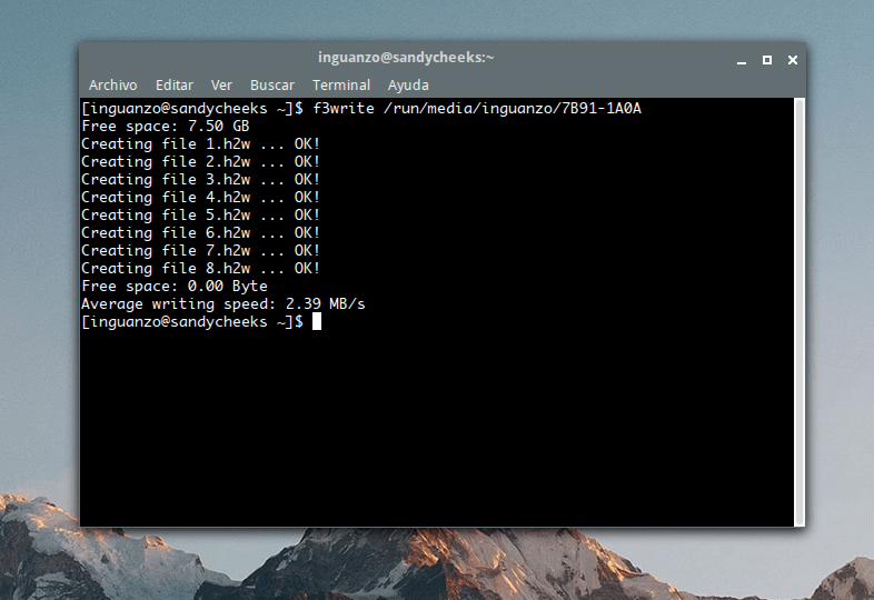 f3write \| memoria falsa
