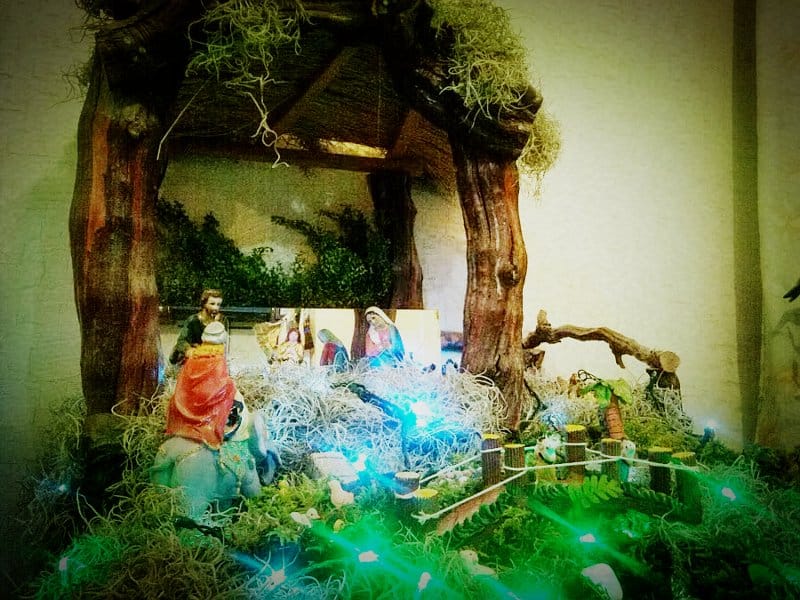 Featured image of post Diciembre, Navidad, Nacimiento y Peregrinaciones