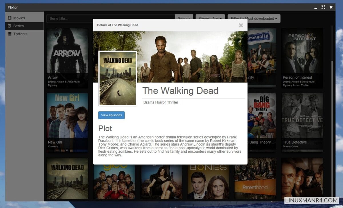 Flixtor - Pantalla con la información de la serie