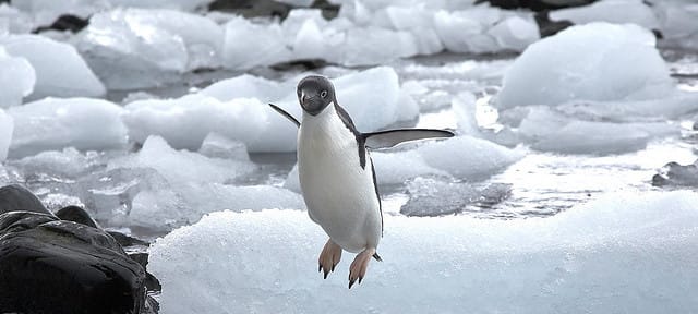 Featured image of post Aumentar la velocidad de linux con zswap