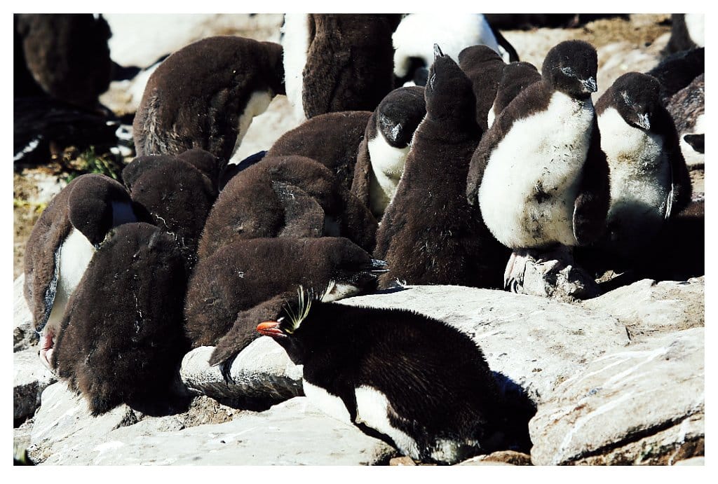 Featured image of post Script en bash para encender computadoras remotamente