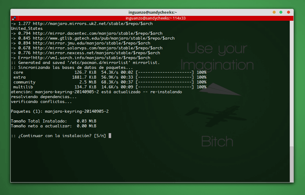 Problemas al actualizar Manjaro