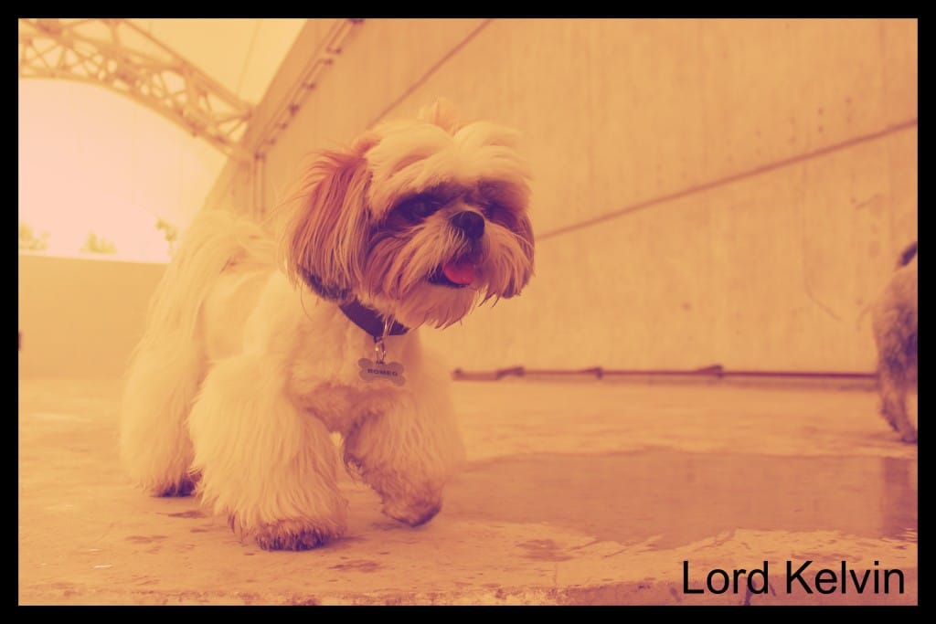 Featured image of post Filtros de Instagram en Gimp