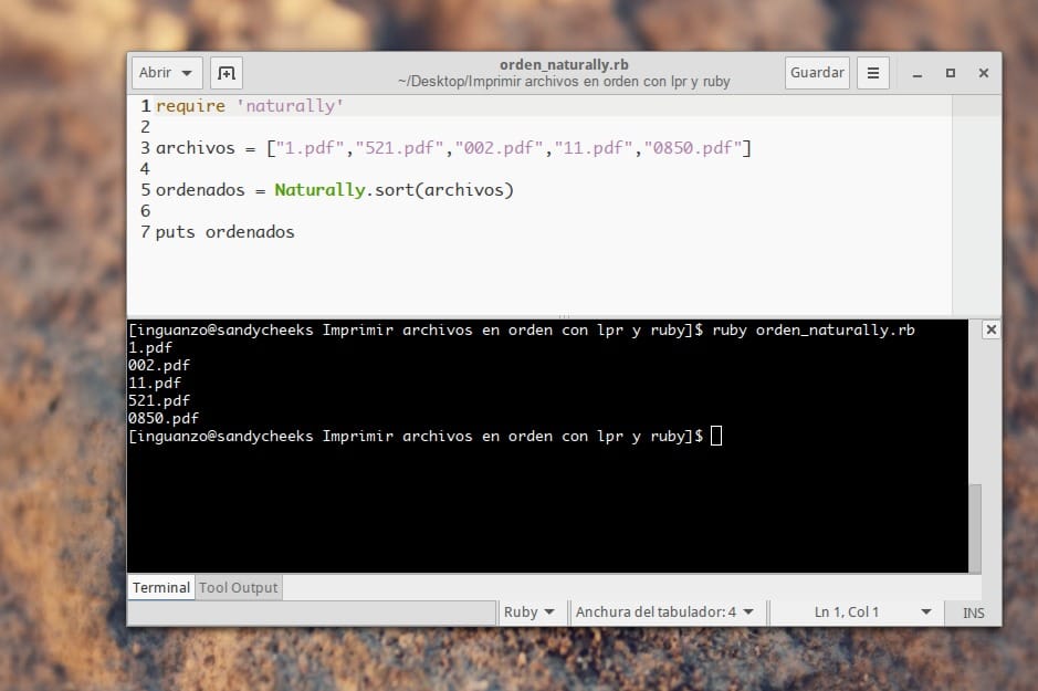 Resultado del ordenamiento usando Naturally.