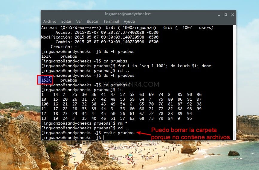 Puedo borrar la carpeta porque no contiene archivos.