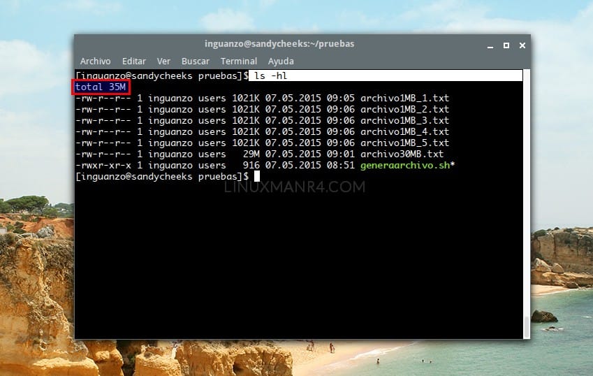 El resultado del comando: ls -lh