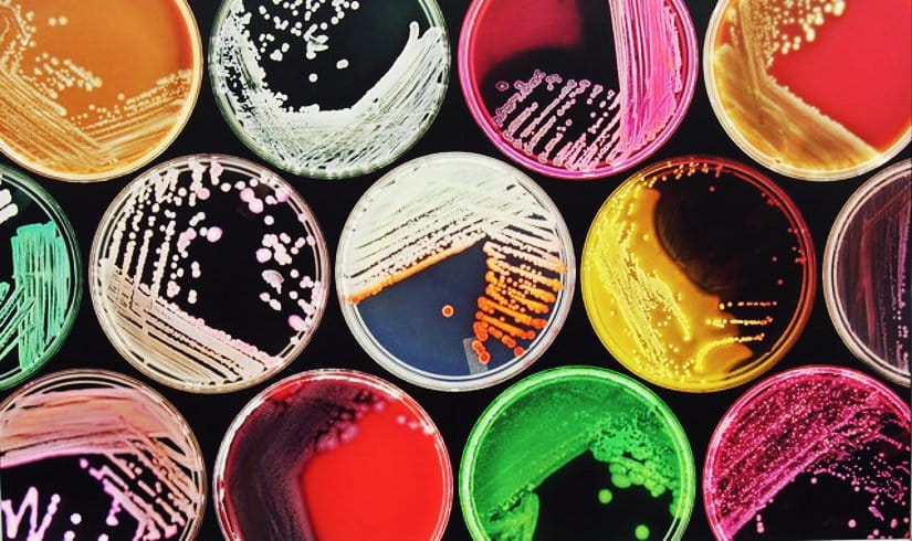 Featured image of post Como limpiar mi computadora de virus, malware y otros bichos