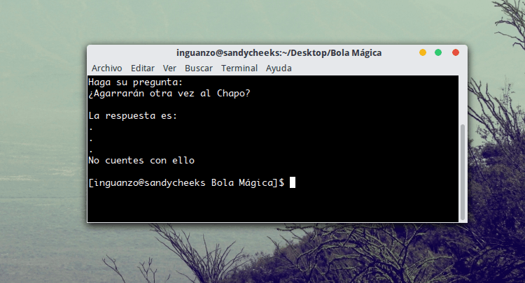 el poder de la bola mágica