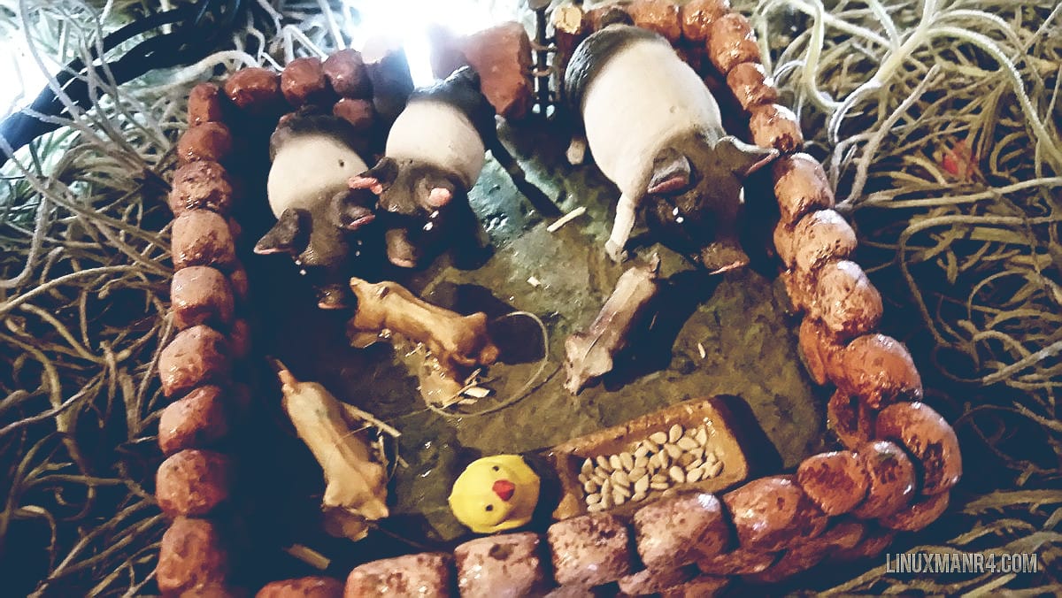 Featured image of post Buscando una figura para el nacimiento