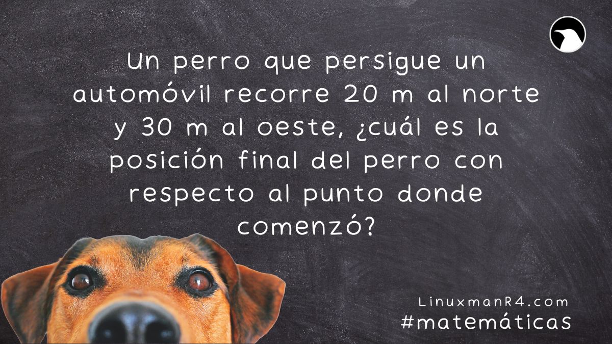 Featured image of post Buscando a Firulais, meme matemático