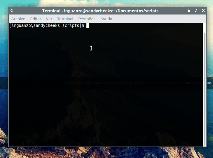 python\_ping en acción