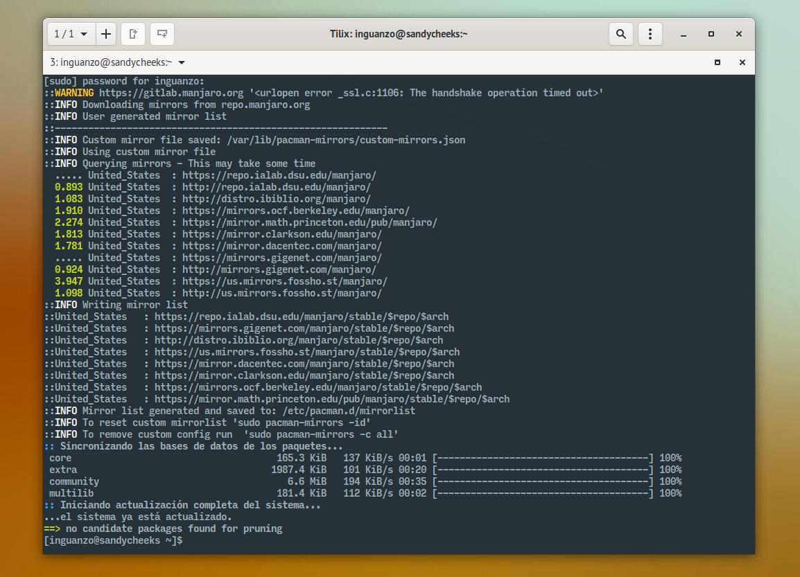 Actualización de Manjaro desde la terminal.