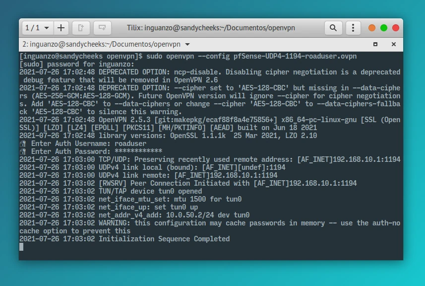openvpn desde la terminal.