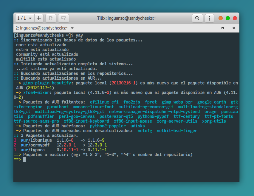 actualizando paquetes de AUR con yay
