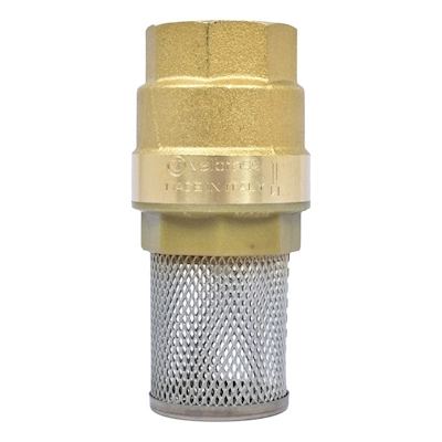 Un modelo de pichancha