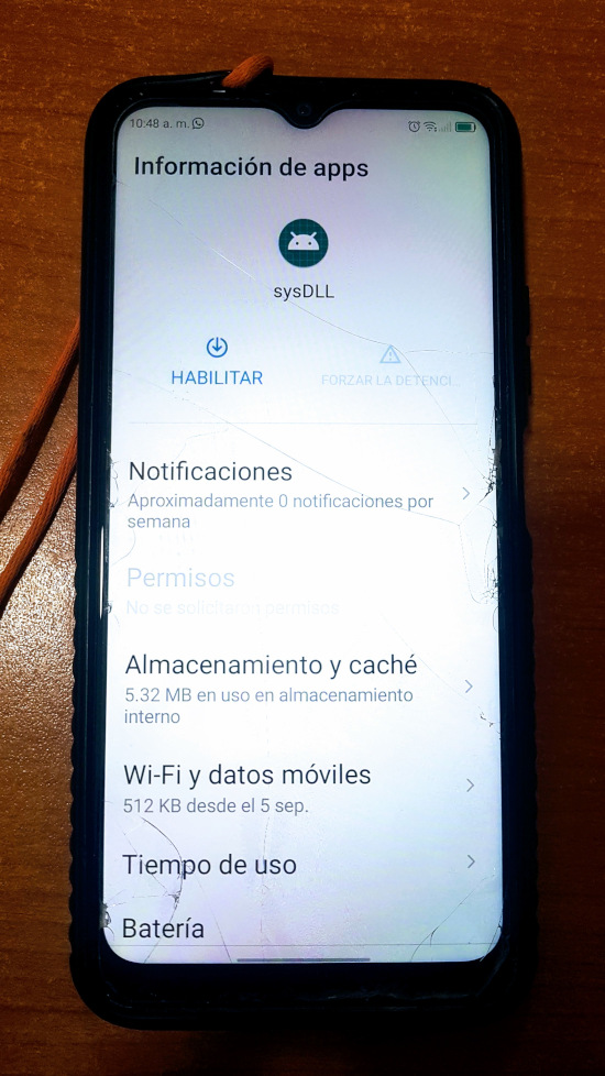 Esta es la aplicación sysDLL que hay que eliminar.