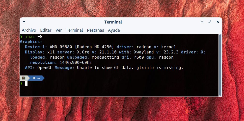 Nueva tarjeta AMD RS880 \[Radeon HD 4250\]